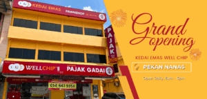 Kedai Emas Well Chip, Pekan Nanas